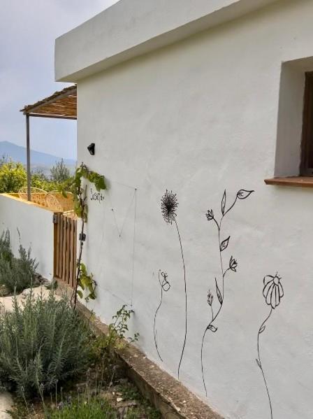 Finca Martina Appartement Casarabonela Buitenkant foto