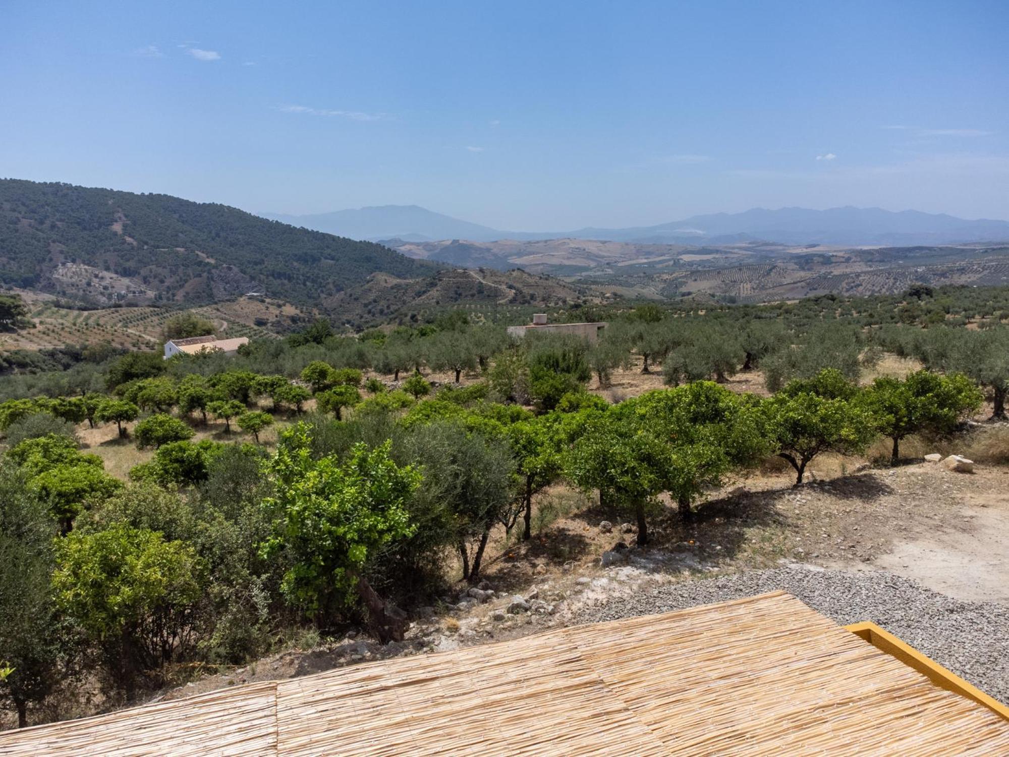 Finca Martina Appartement Casarabonela Buitenkant foto