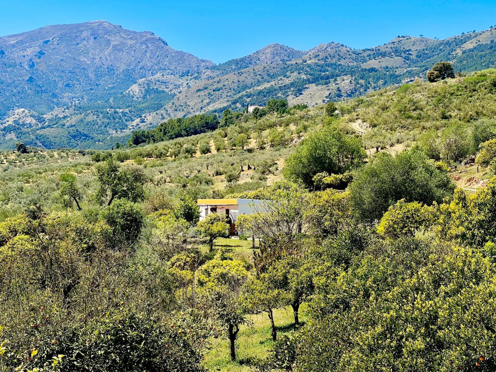 Finca Martina Appartement Casarabonela Buitenkant foto